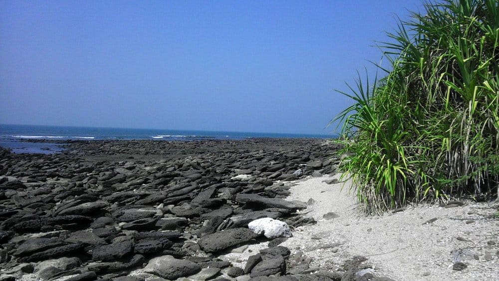 Island Exploration & Marine Adventures