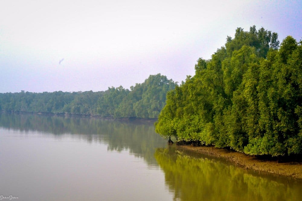 Comfortable Wildlife Experience